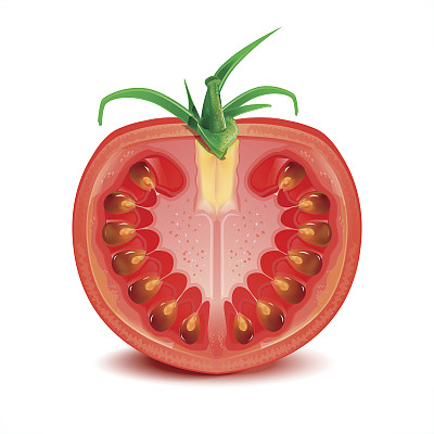 片番茄的图片下载
