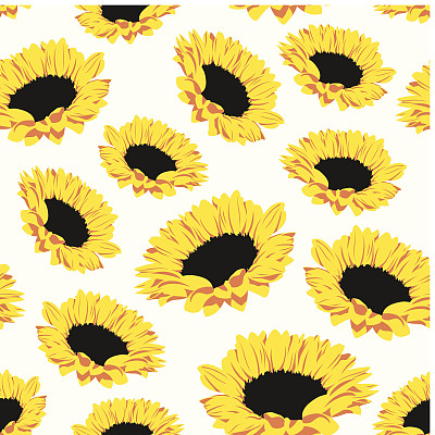 向日葵无缝图案图片下载