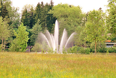 自然公园图片下载