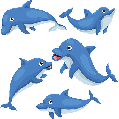 可爱海豚插画师图片下载