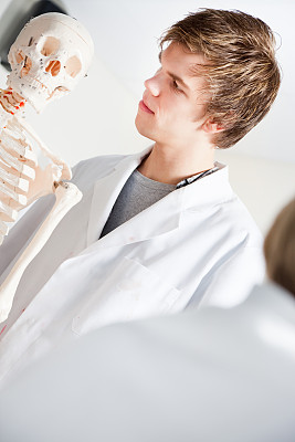 医学生检查一个骨架模型图片下载