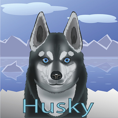 狗的朋友图片下载