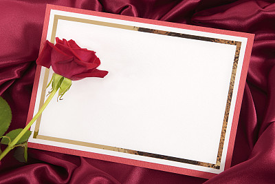 情人节空白卡片与红玫瑰图片下载