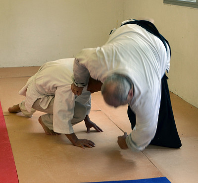 合气道卷图片下载