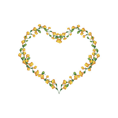 美丽的黄色红豆花心形图片下载
