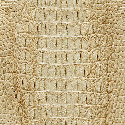 鳄鱼皮纹理图片下载