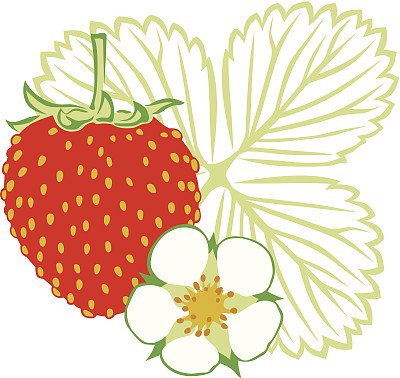草莓图片下载