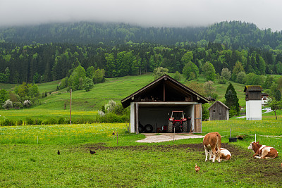 农村奥地利图片下载