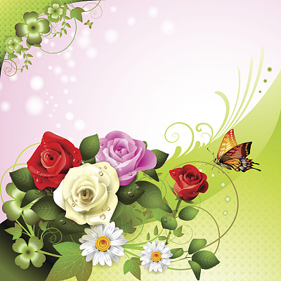 背景与玫瑰图片下载