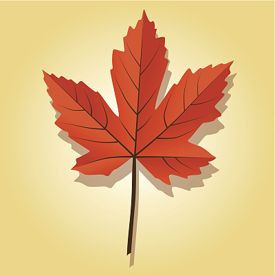 Herbstblätter图片下载