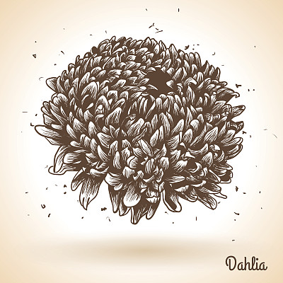 复古手绘背景与鲜花。图片下载