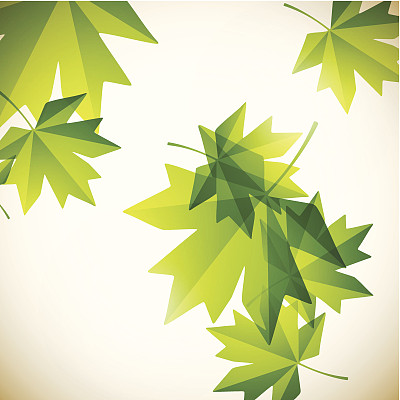 秋天背景图片下载