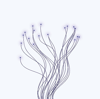 男性的植物图片下载