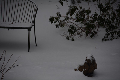 雪地里的长凳旁图片下载