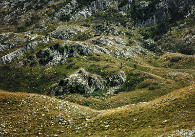 绿色的山谷图片下载