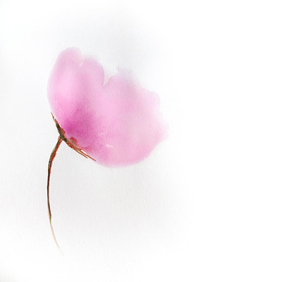 美丽的水彩花。插图图片下载