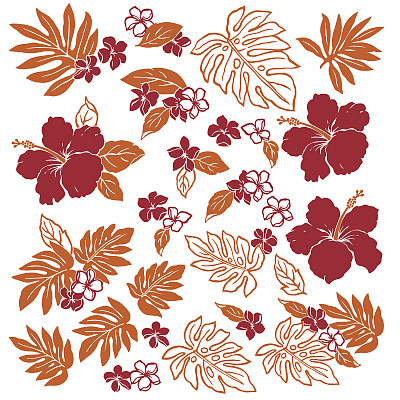 芙蓉花插图图片下载