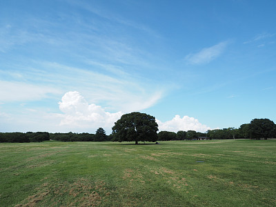 空旷的田野图片下载