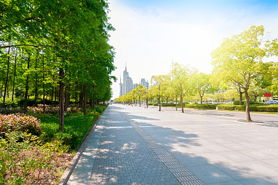 中国上海世纪大道街景图片下载