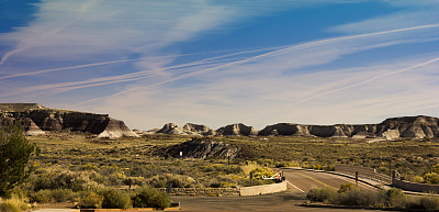 Petrifide森林景观图片下载