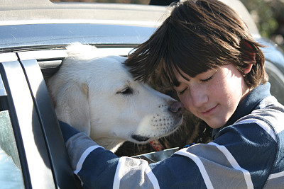 男孩拥抱白色拉布拉多狗图片下载