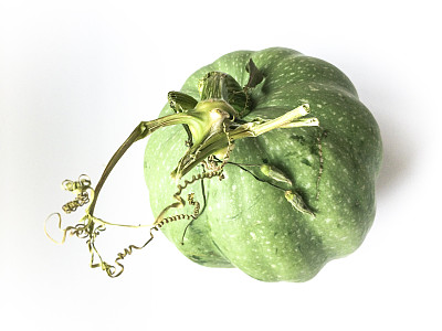 特写的南瓜图片下载