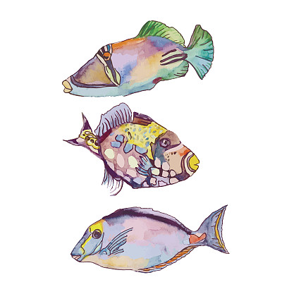 一套热带鱼图片下载