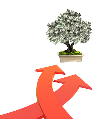 钱树上有美元钞票图片下载
