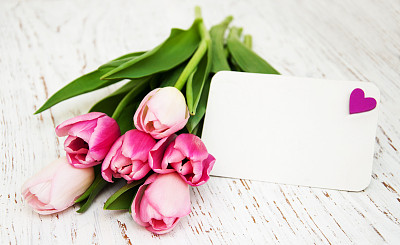 郁金香和一张卡片图片下载