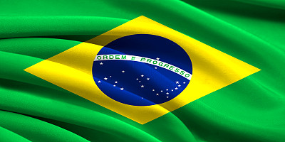 旗胡核图片下载