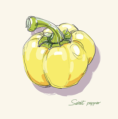 矢量图的甜椒图片下载