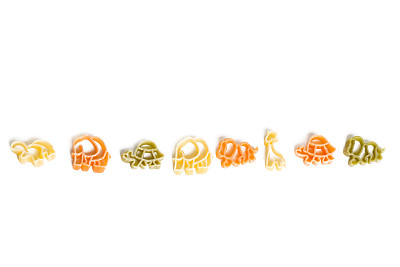 动物数据面图片下载