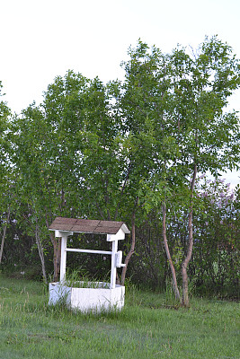 没有更多的愿望图片下载