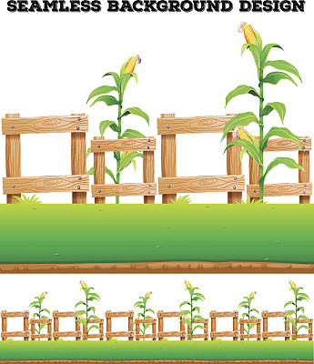 地上有栅栏和玉米图片下载