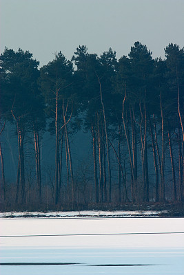 豪巴赫湖的晨光图片下载