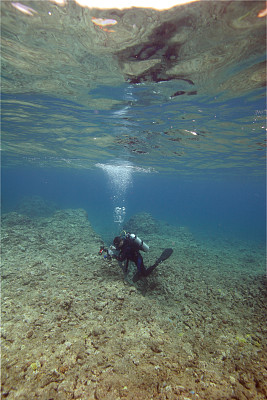 潜水员摄影师的反思图片下载