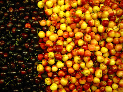 两种颜色的樱桃与文本空间图片下载