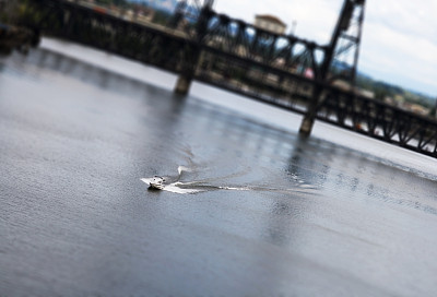 模型船，俄勒冈州波特兰图片下载