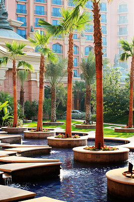 美丽的花园图片下载