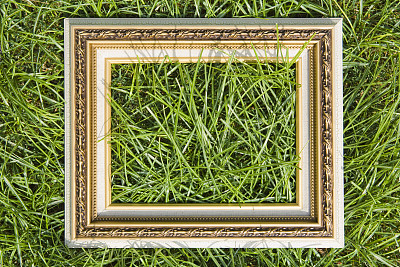 框架。图片下载