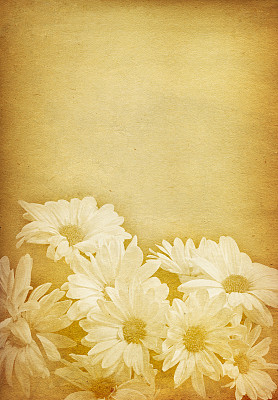 戴西装饰的复古纸图片下载