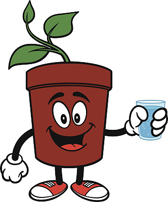 盆栽植物与水图片下载