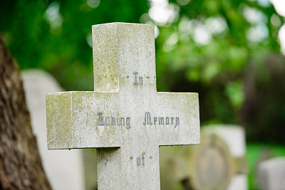 在爱的记忆图片下载