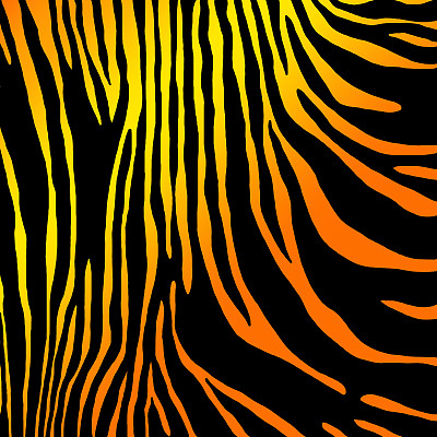 兽纹皮毛虎图片下载