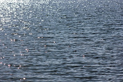 气泡水图片下载