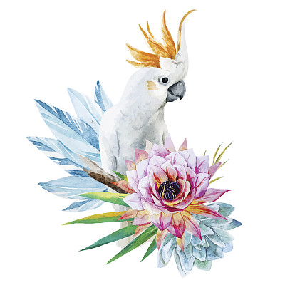 带花的水彩画鹦鹉图片下载