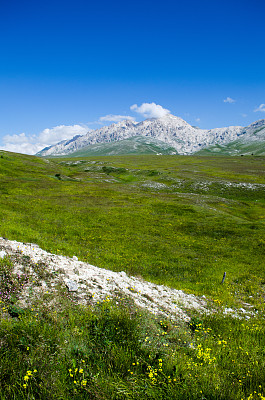 皇帝领域图片下载