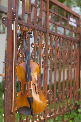 铁门、铁锈、草坪、树木图片下载