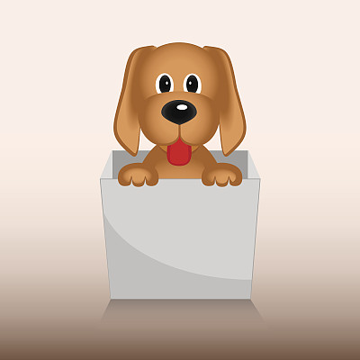 可爱的小狗装在礼品盒里图片下载