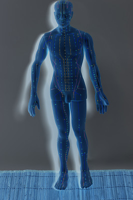 灰色背景下人体医学针灸模型图片下载